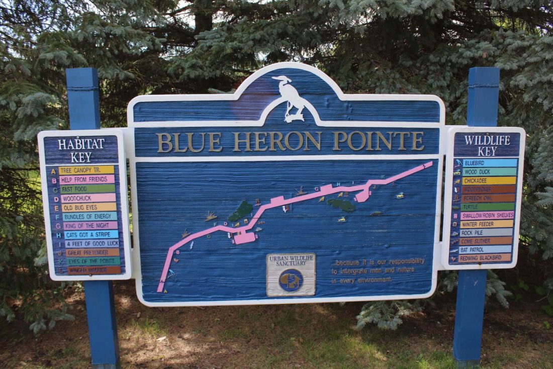 Blue Heron Pointe Condos Aerial Tour Northville Michigan